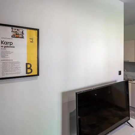 Carp&bed Aparthotel Zator