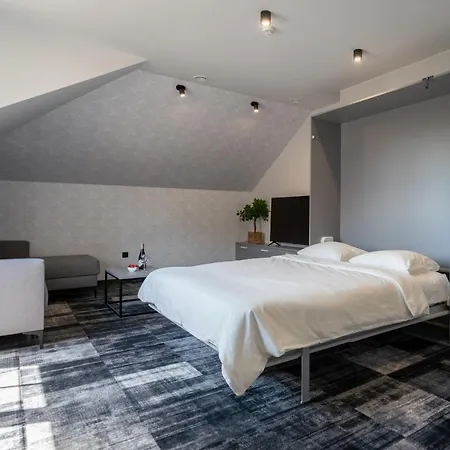 Apartahotel Carp&bed Zator